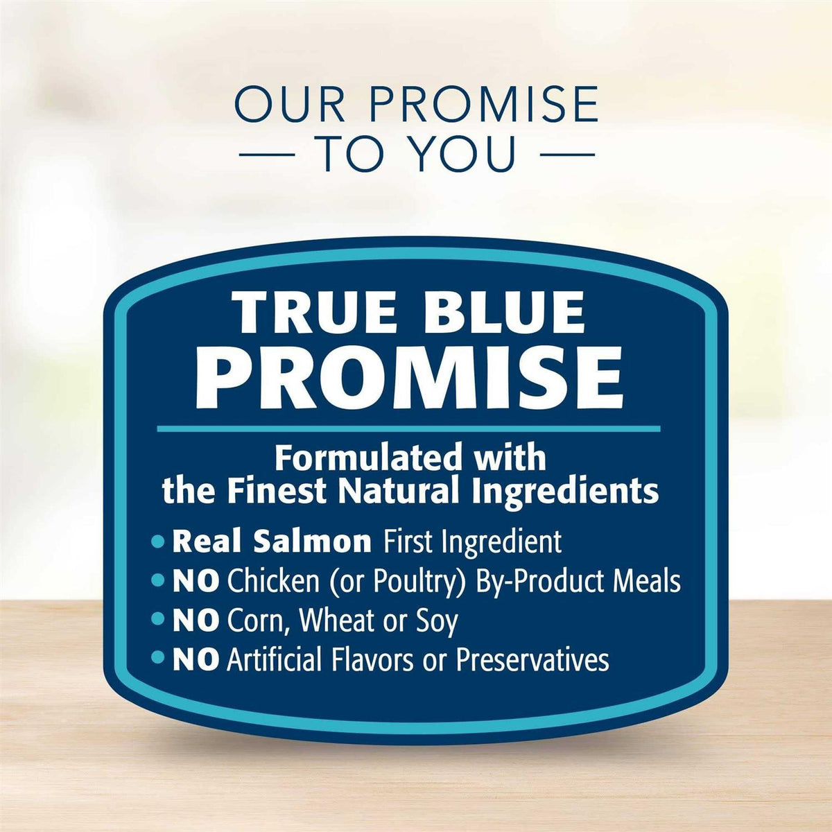 Salmon & Potato Skin Stomach Care Adult Dry Dog Food W397205
