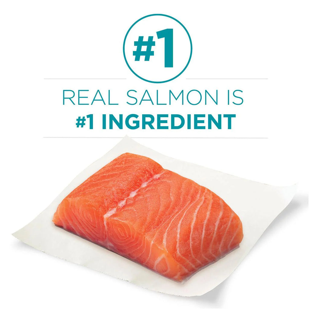 Salmon Dry Cat Food 7 lb. Bag T43432