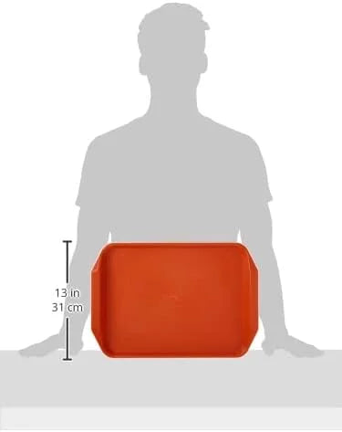BBQ Tray Y3702