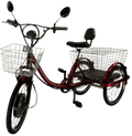 Adult Electric Tricycle R31039