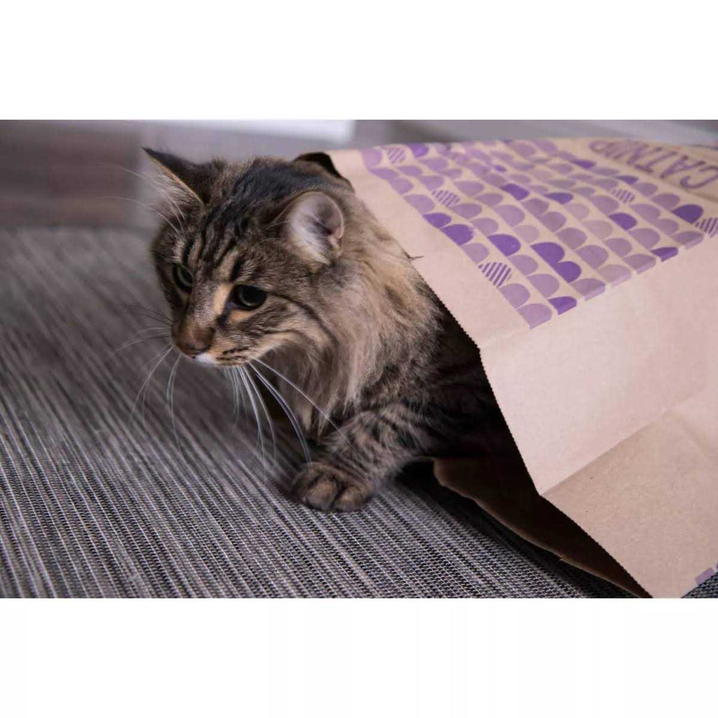 Catnip Caves Q903452