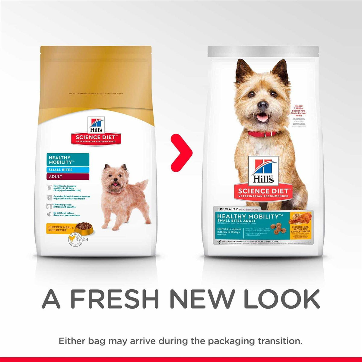 Adult Healthy Mobility Small Bites Dog Food A605