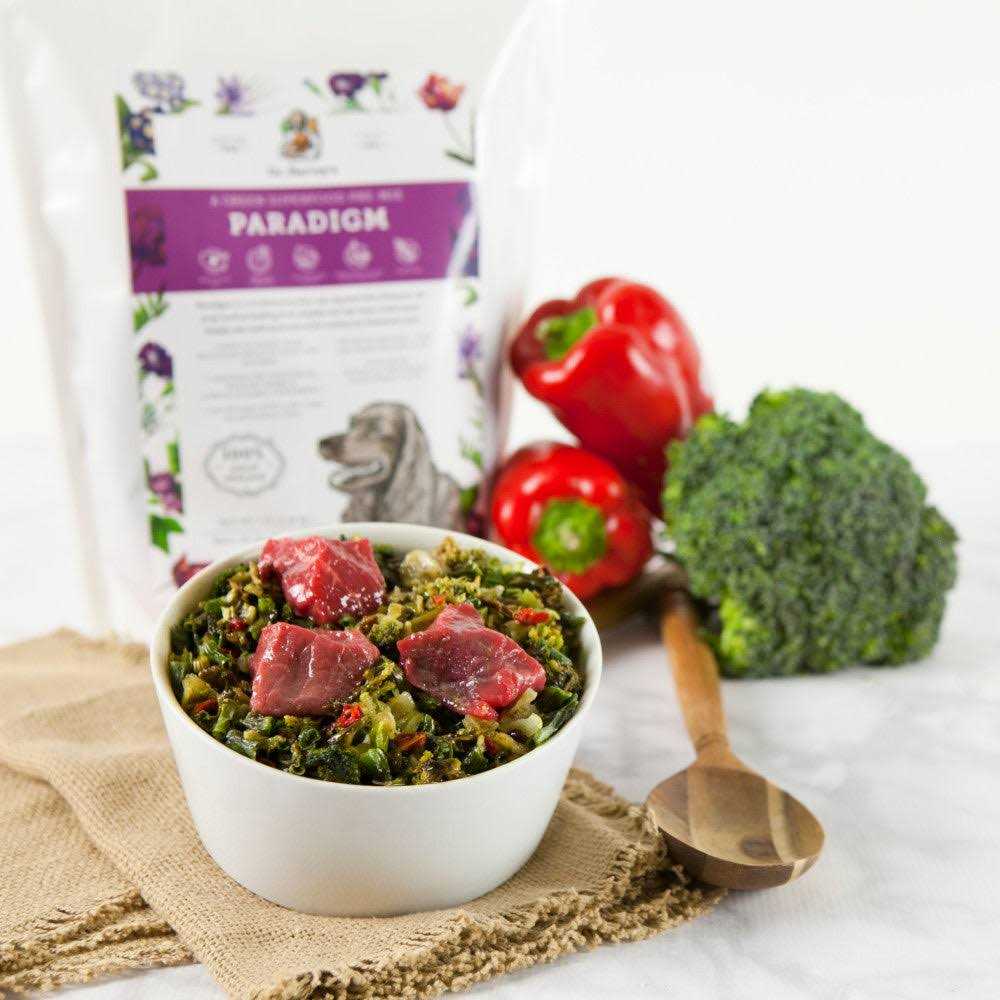 Superfood Dog Food M973