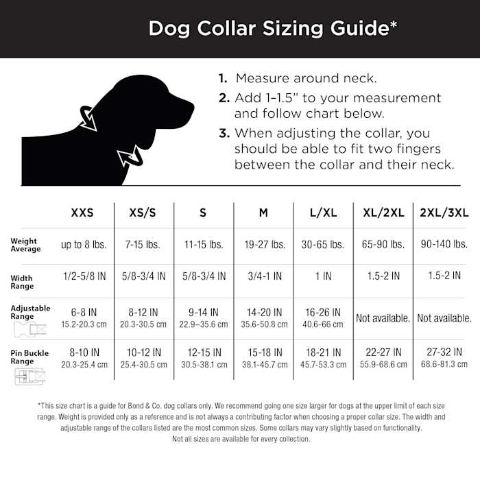 Dog Lead B665