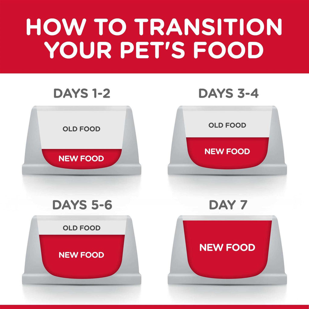 Dog Food V7966