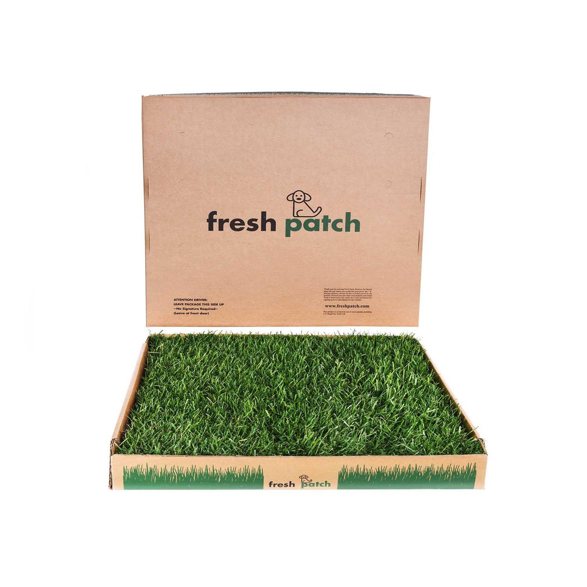 Large Real Grass Pee and Potty Training Pad for Dogs 15 to 30 Pounds A219306