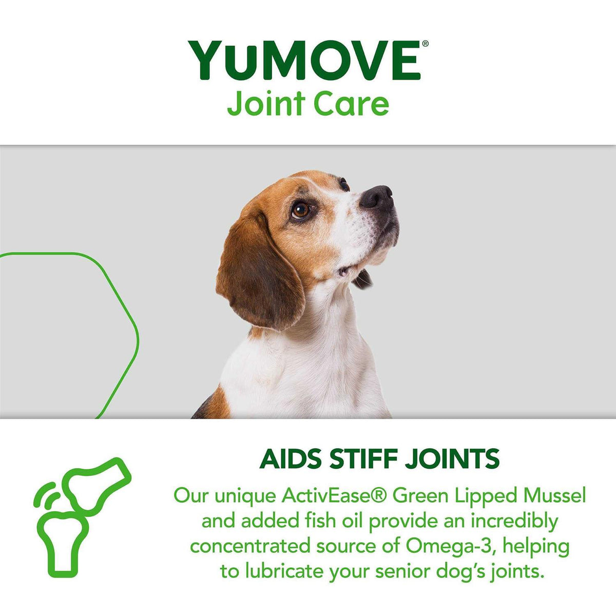 Joint Supplement for Senior Dogs F4675