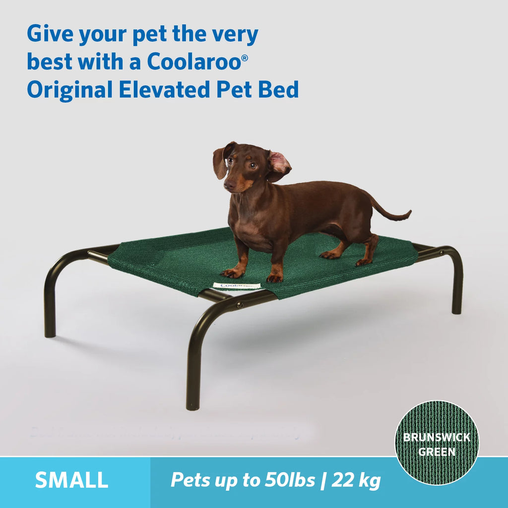 Elevated Pet Dog Bed B9677