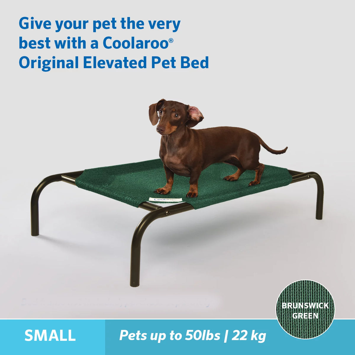 Elevated Pet Dog Bed B9677