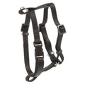 Cat Harness Y424537