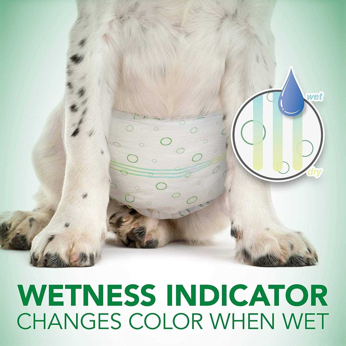 Disposable Male Dog Wraps L432