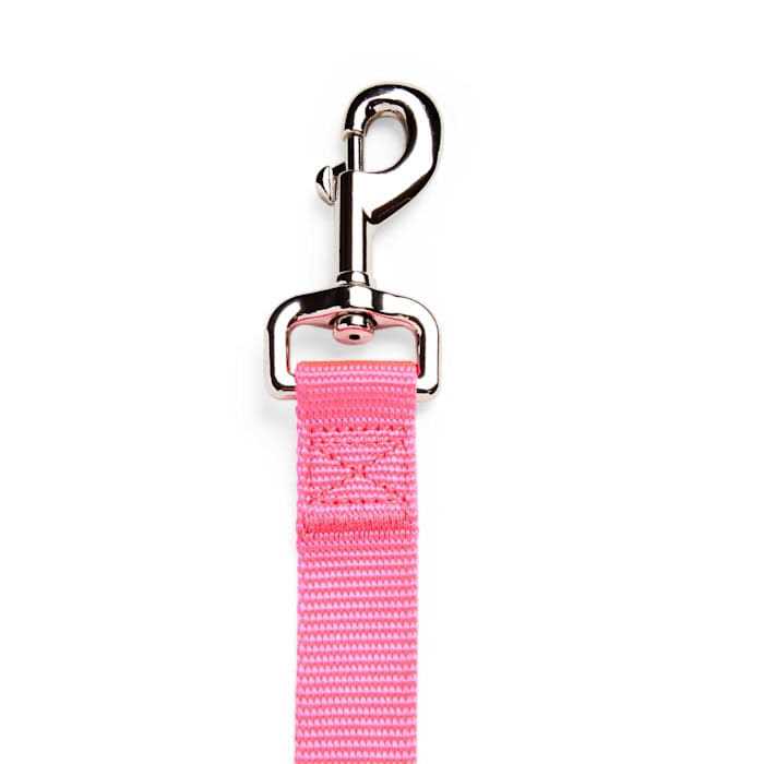 Dog Lead B665