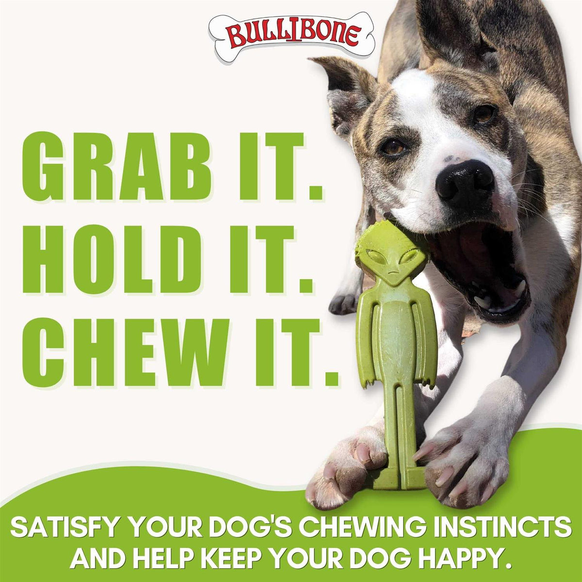 Small Alien Bone Dog Chew Toy with Easy Hold Grips F98805