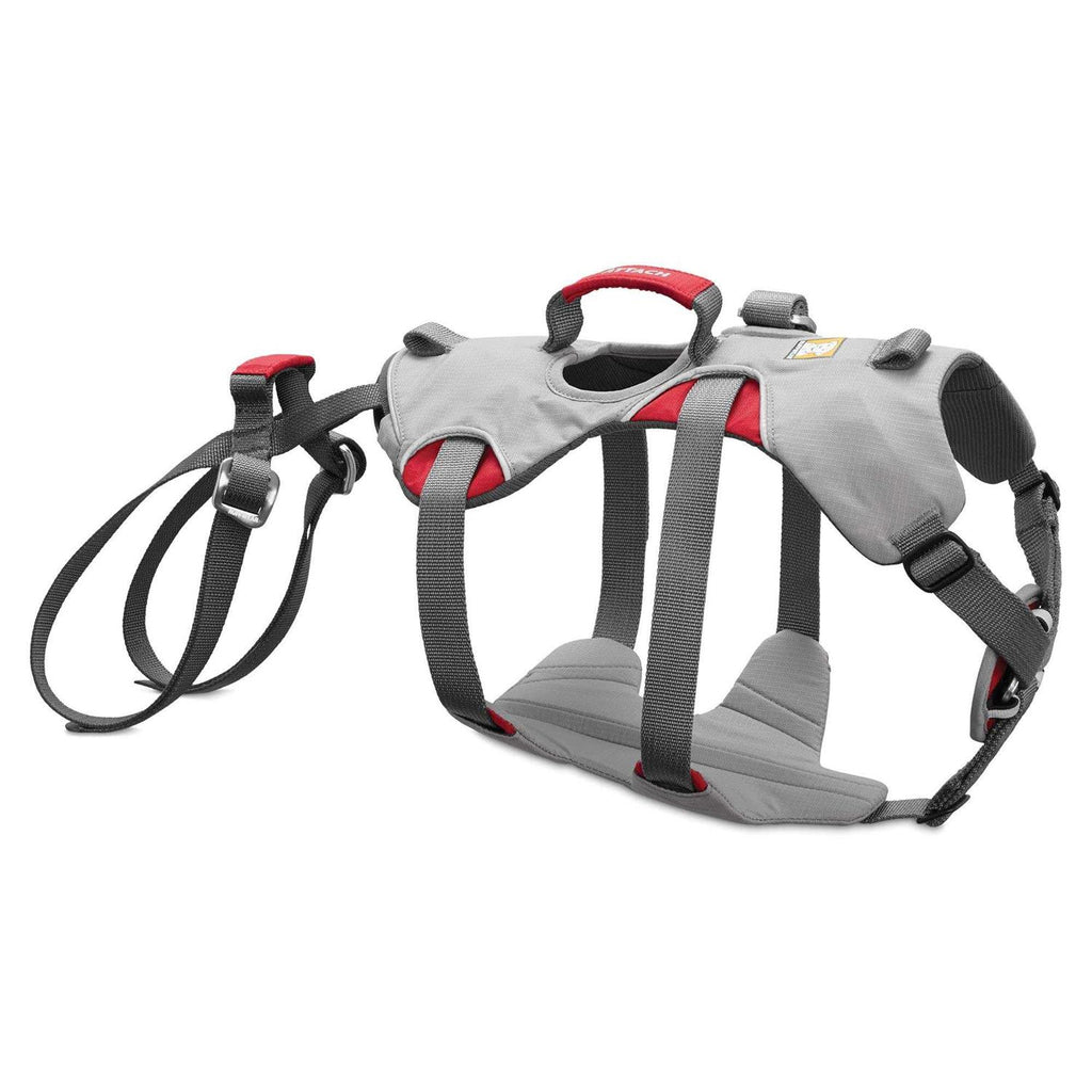 Doubleback Harness K55892