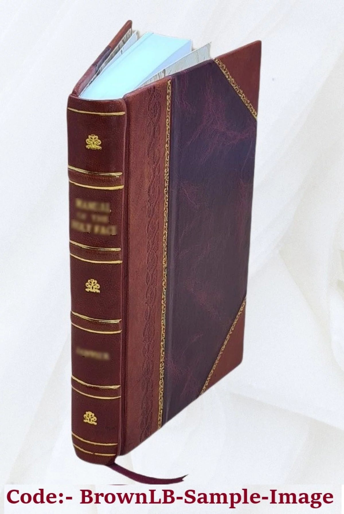 Leather Bound Book Q94485