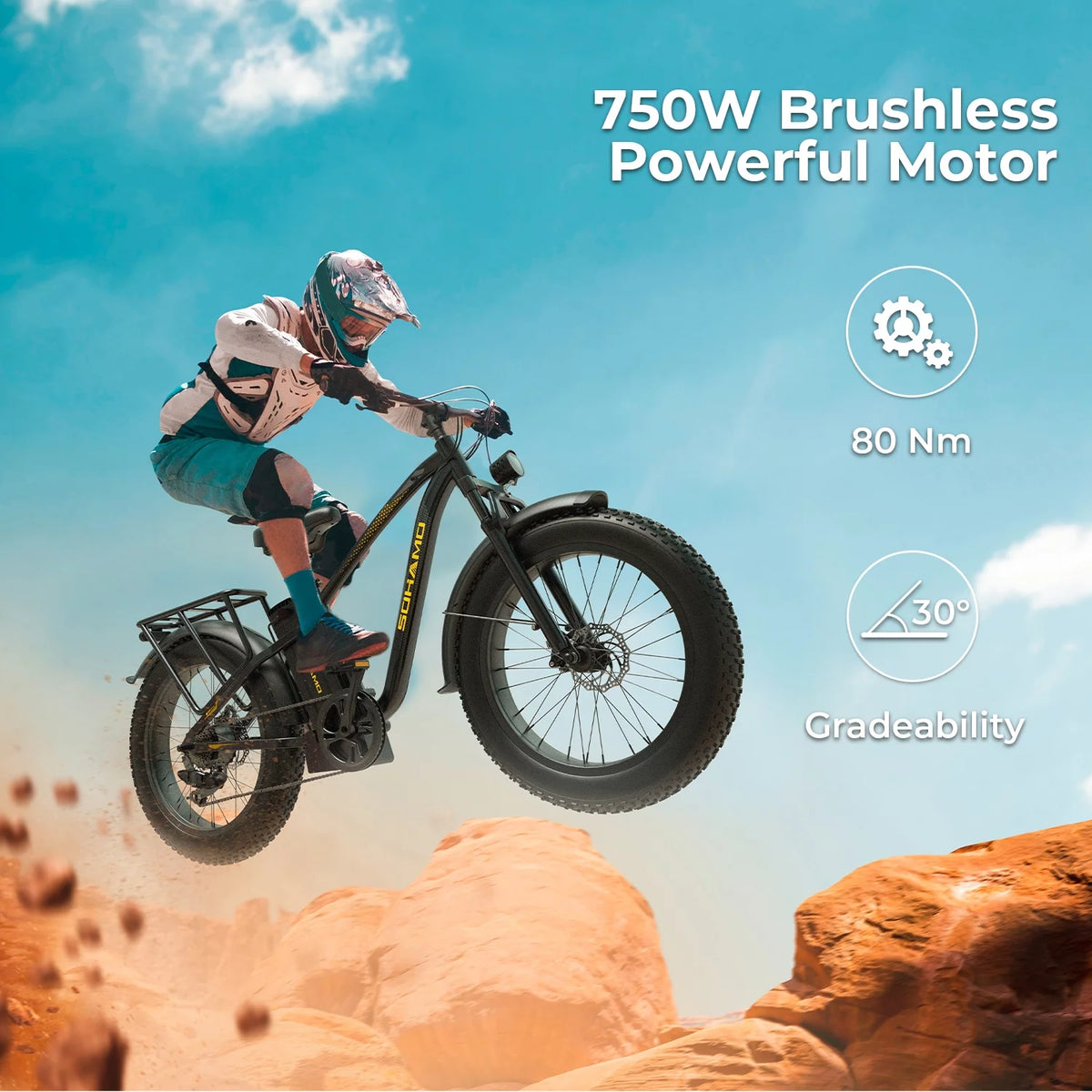 750W 26 Fat Tire Electric Mountain Bike O324005