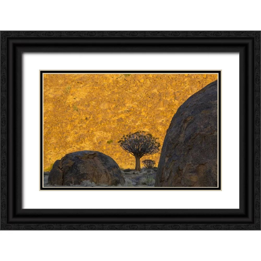 Black Ornate Wood Framed Art Print F2657