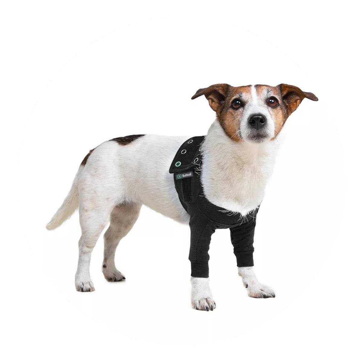 Dog Recovery Sleeves K38244