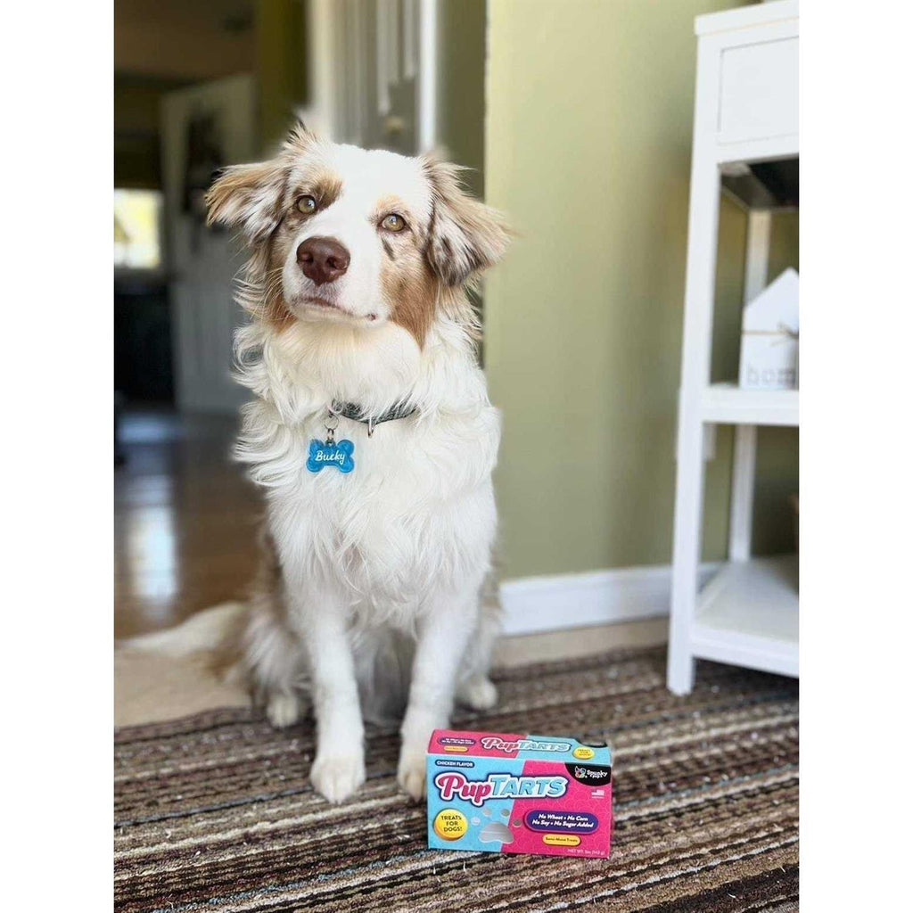 Dog Treats Y38456
