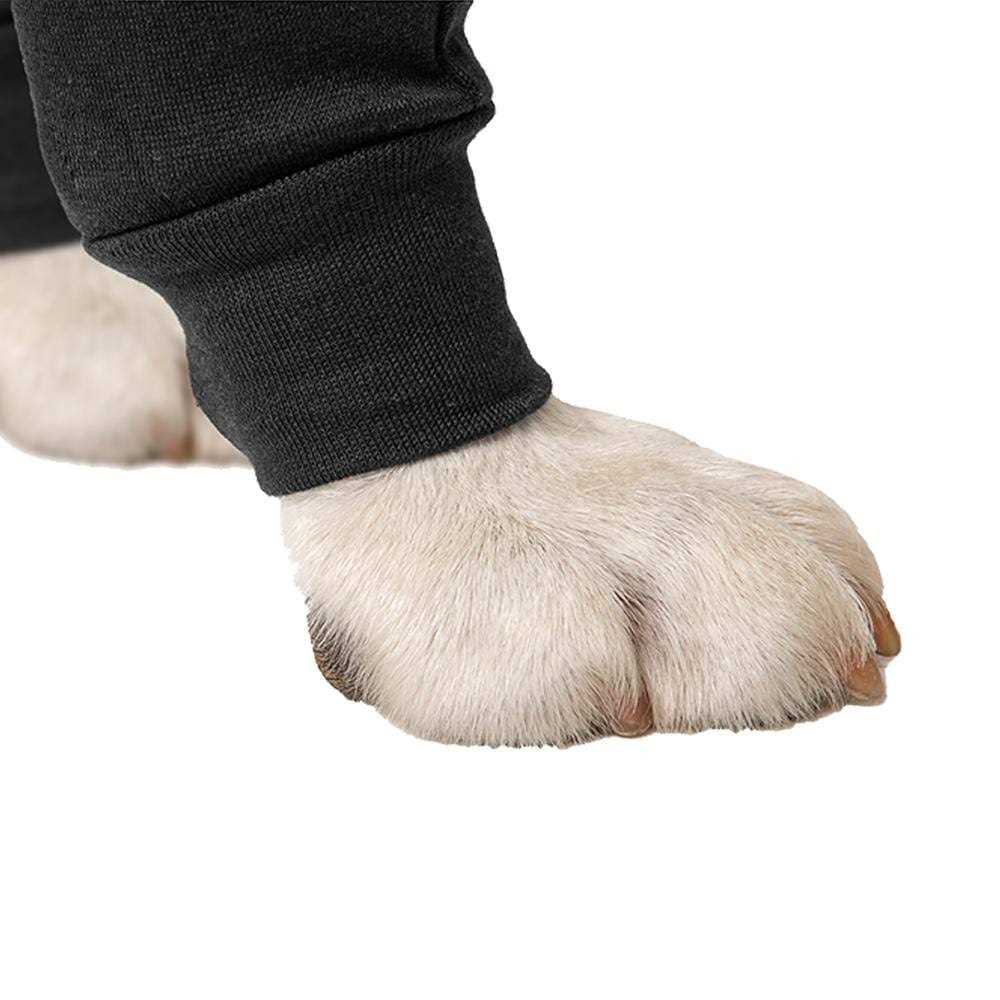 Dog Recovery Sleeves K38244