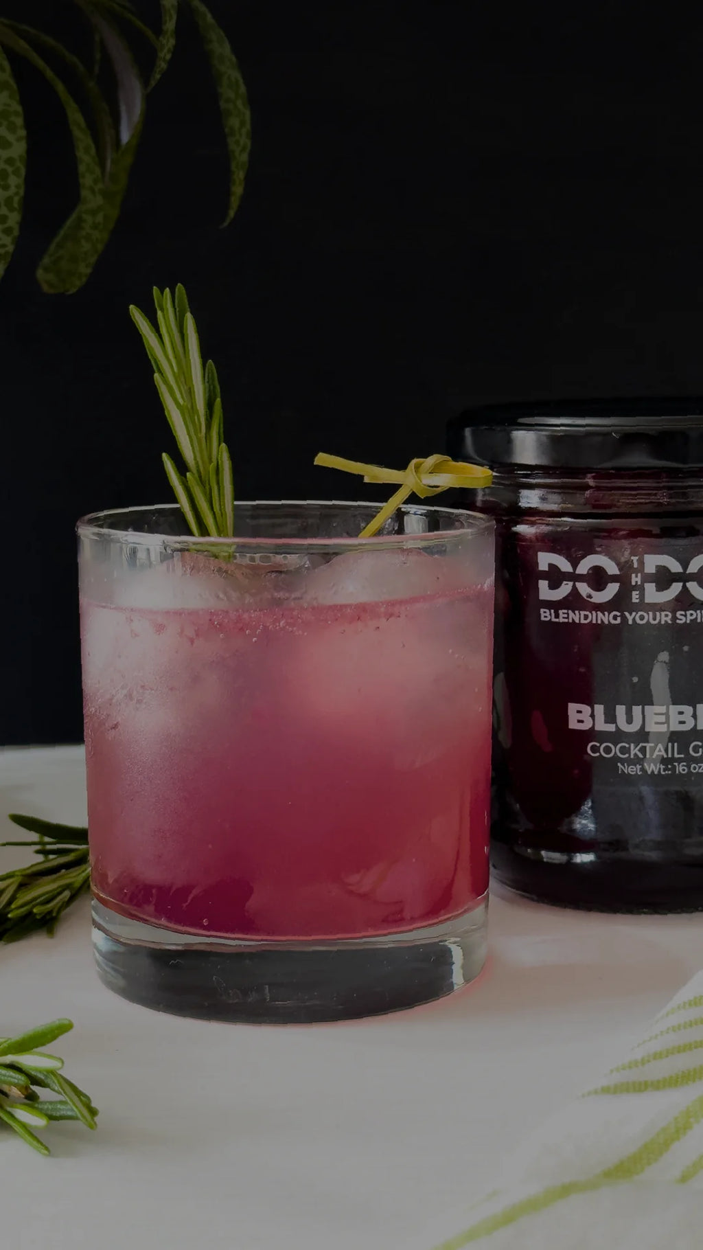 Blueberry in Light Syrup 12 units x 16oz F944462