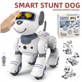 Remote Control Robot Dog Toy B1159