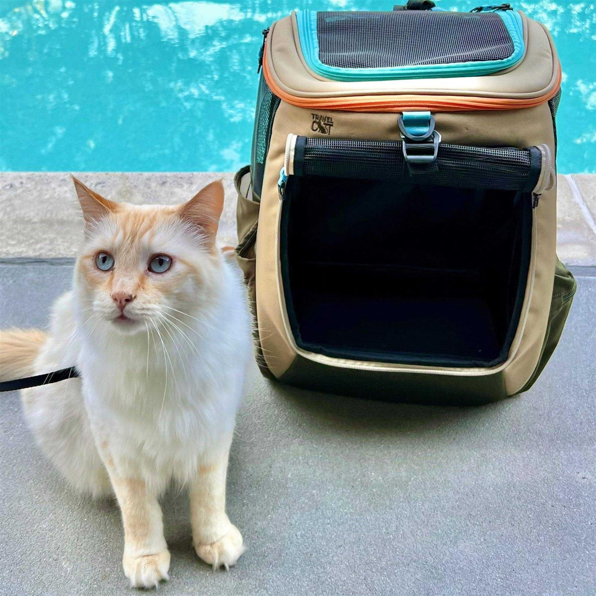 Convertible Cat Backpack U84805