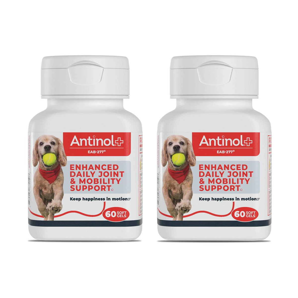 Green-Lipped Mussels and Krill Oil Dog Joint Supplement G53139