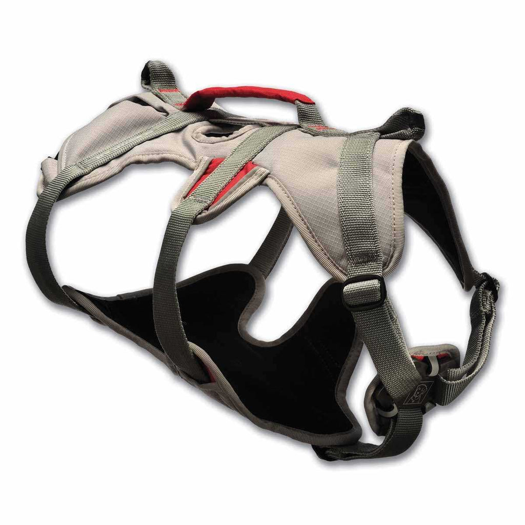 Doubleback Harness K55892