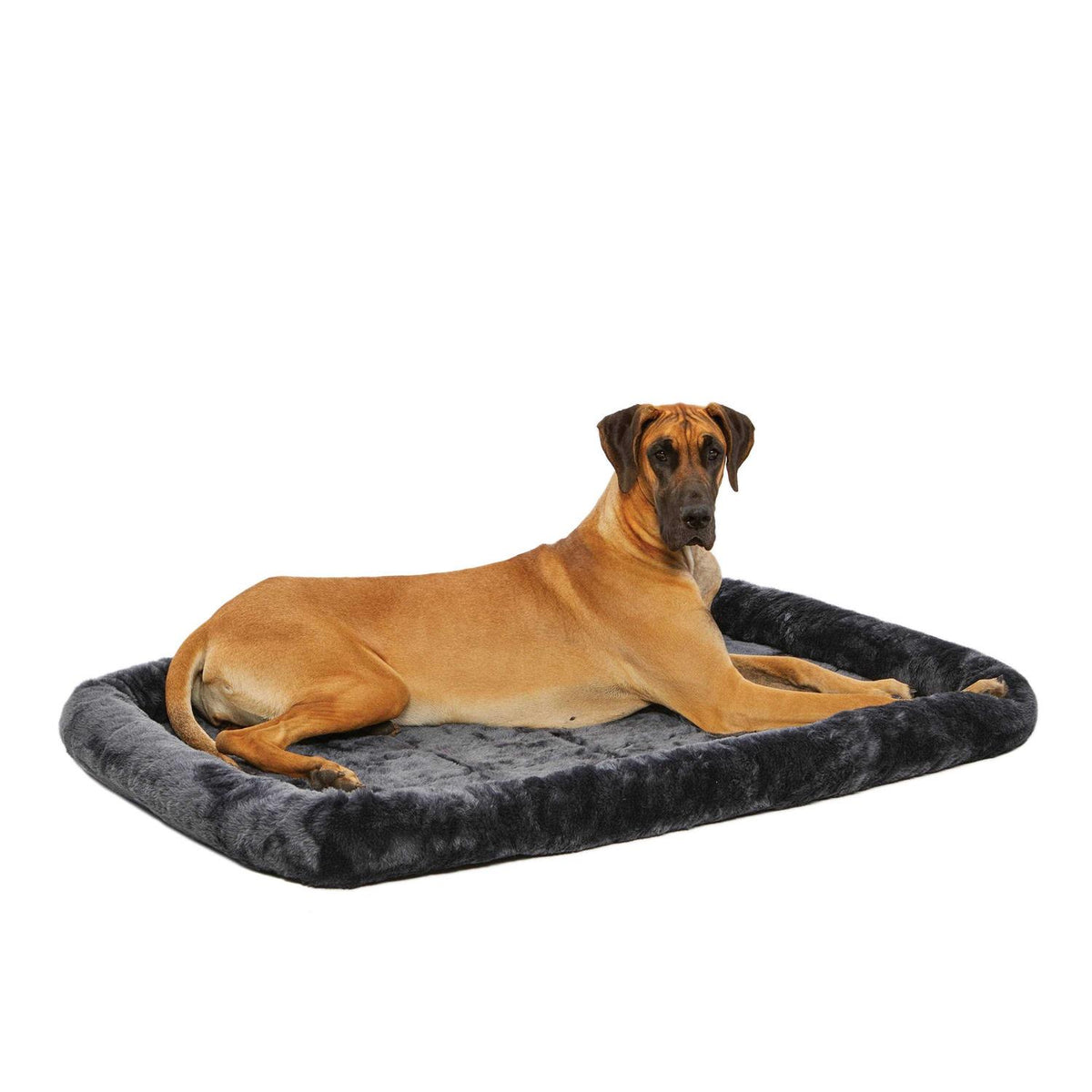 Quiet Time Pet Bed W395233