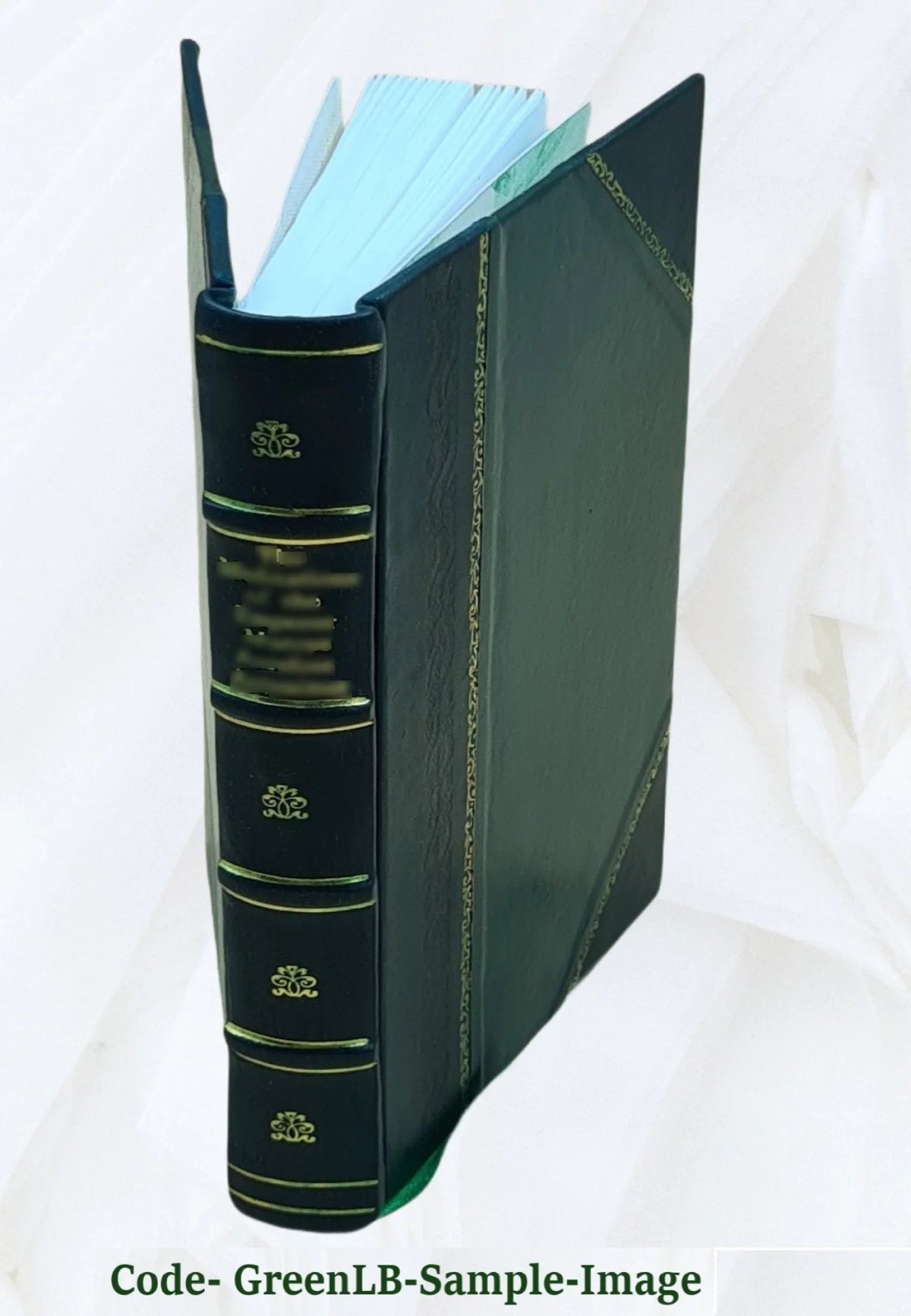 Leather Bound Book Q94485
