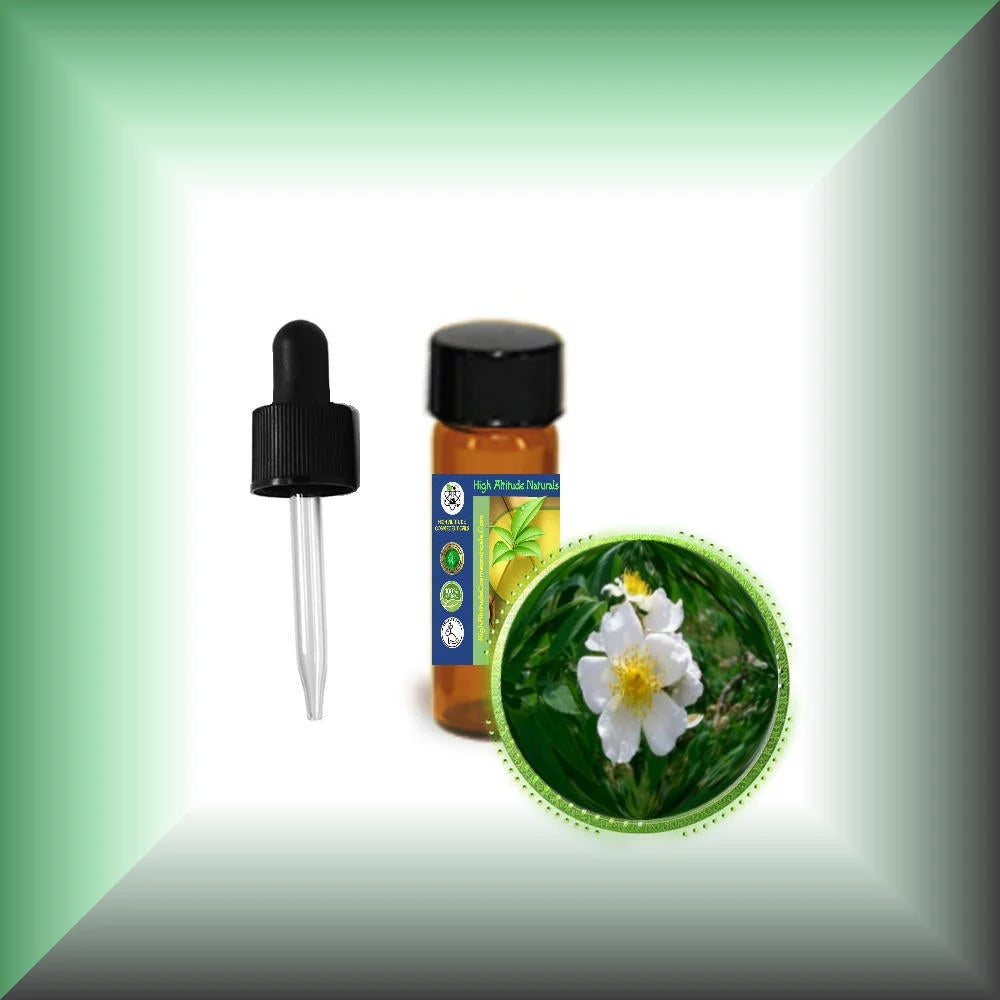 Rose Essential Oil V263052