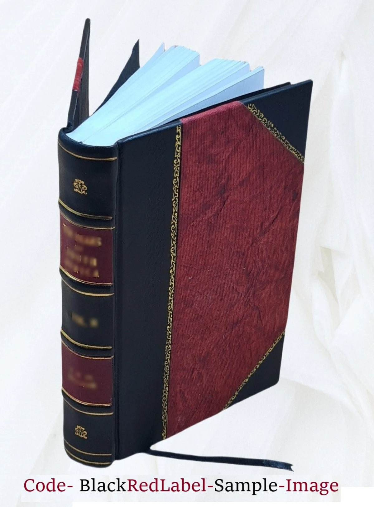 Leather Bound Book Q94485