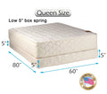Queen Mattress and Box Spring Set with Bed Frame H3109